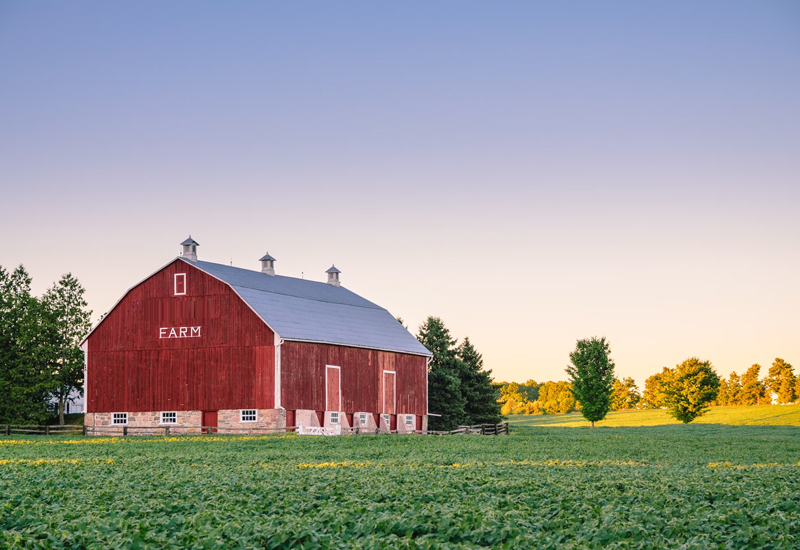 Case Studies: Poultry Farm