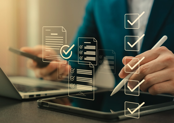 Due Diligence Audit Services