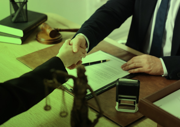 Litigation Services